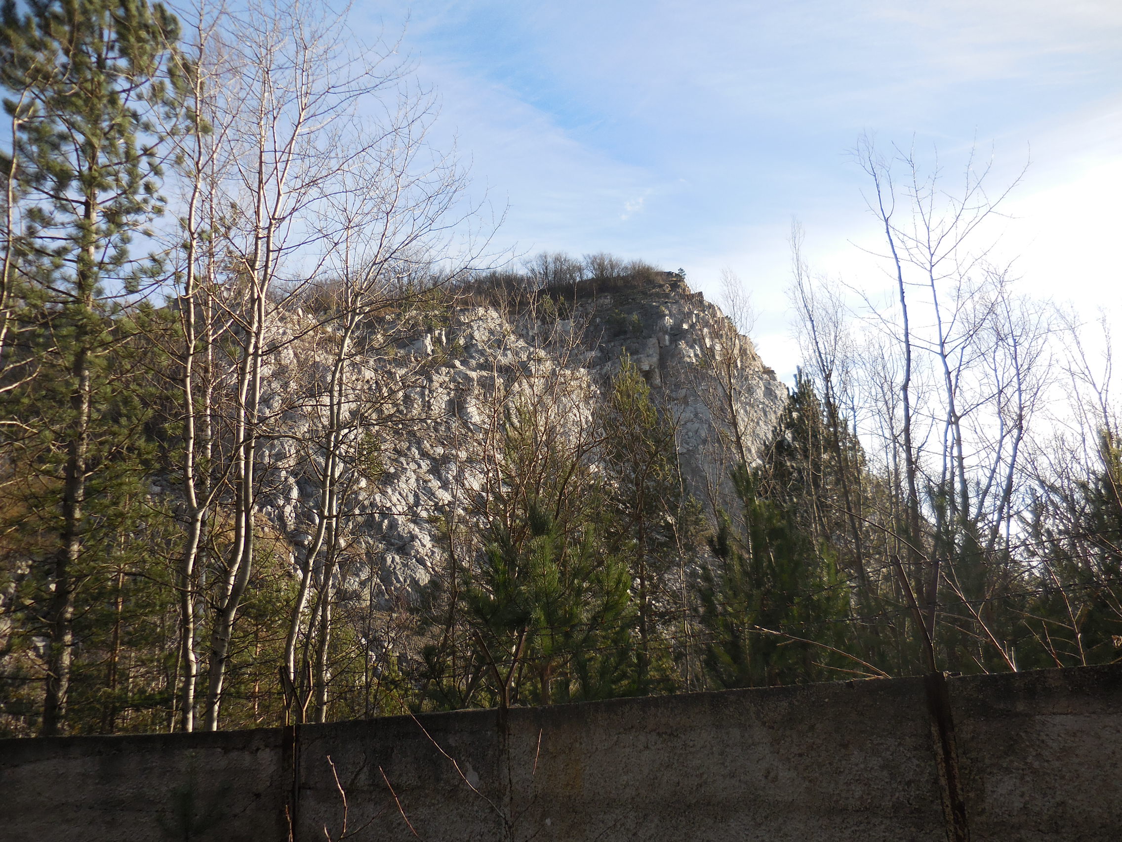 DSCN0257.JPG